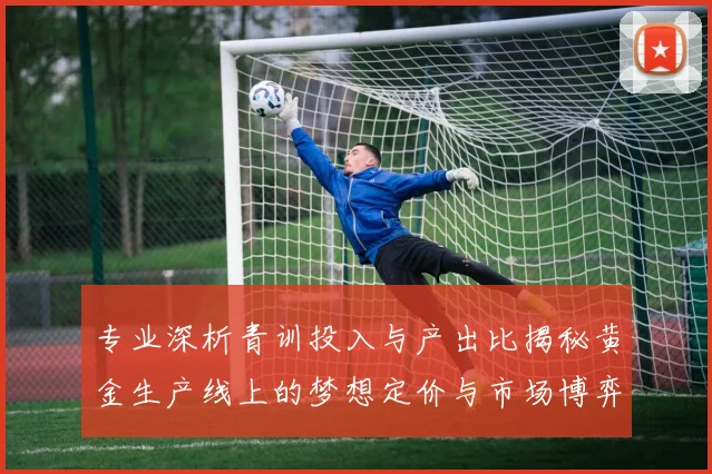 专业深析青训投入与产出比揭秘黄金生产线上的梦想定价与市场博弈