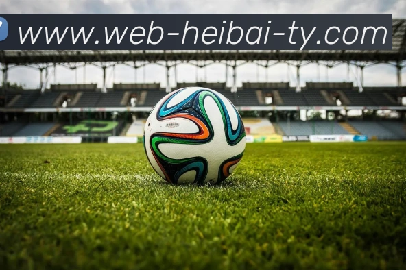 黑白体育发展历程